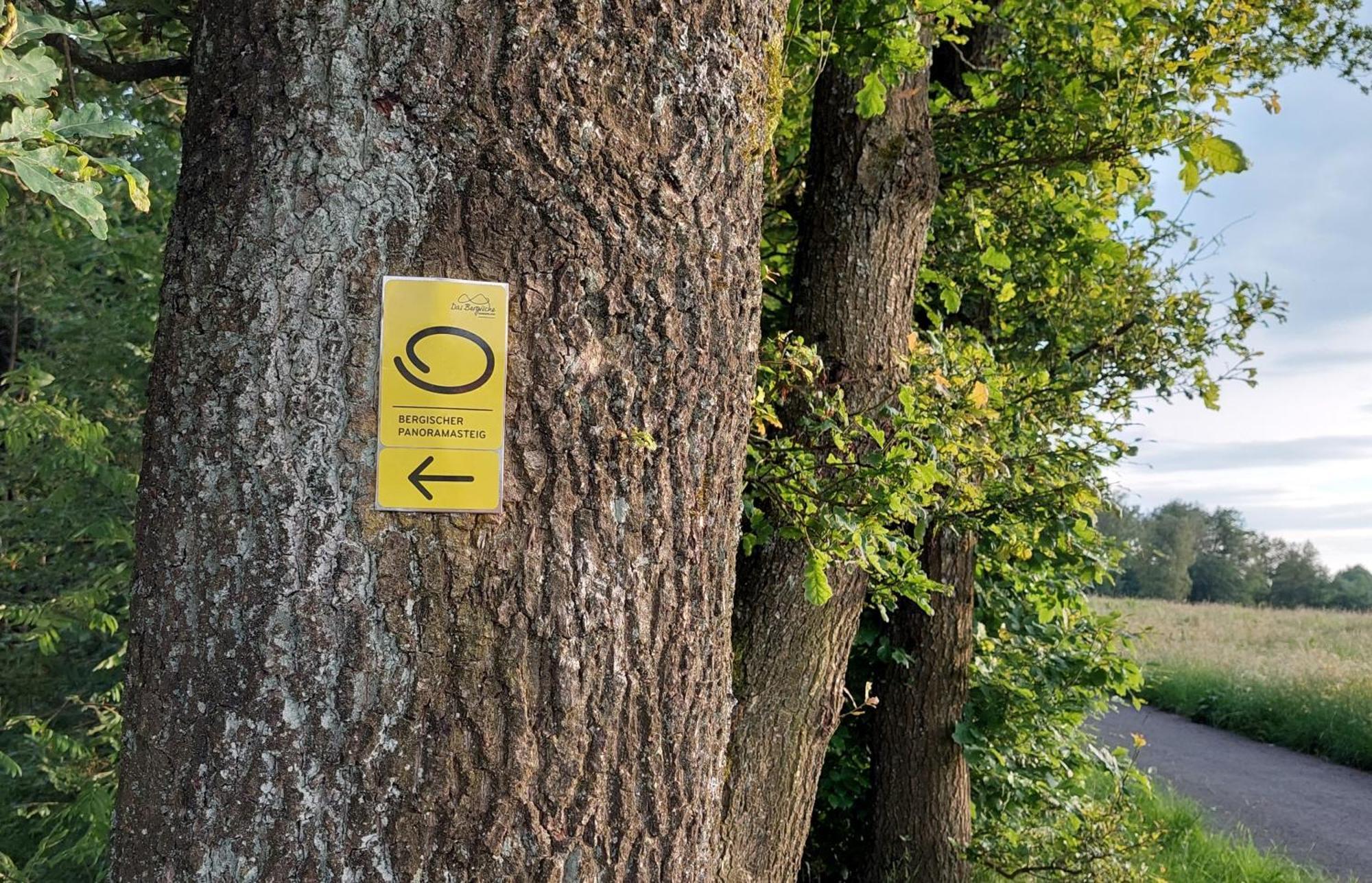 Ferienwohnung Waldbroel - Nahe Naturerlebnispark Waldbrol Eksteriør bilde